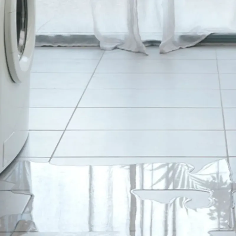 Appliance Leak Cleanup in North Plains, OR