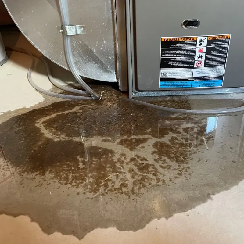 Pipe Burst and Leak Restoration in North Plains, OR
